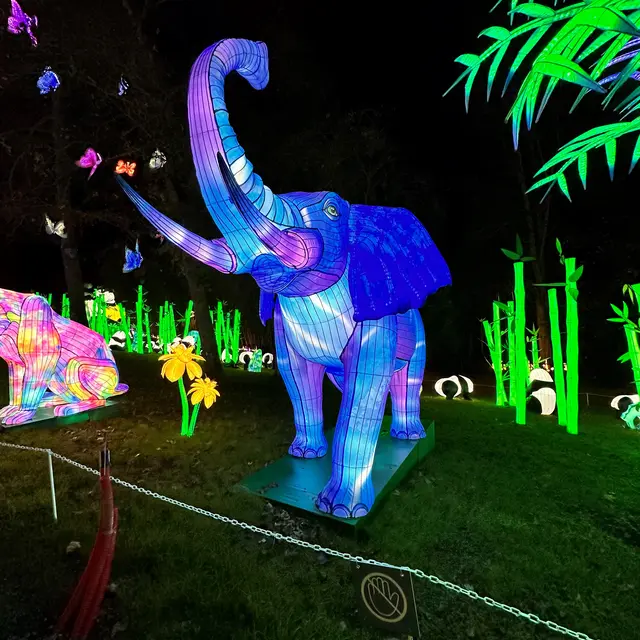 Festivités animaux fantastiques