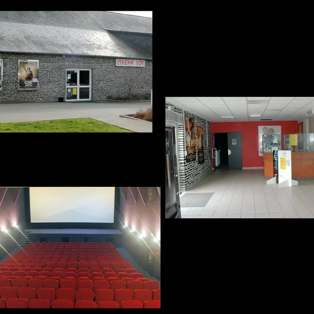 LOI-cinema-le-vox
