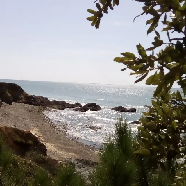 La guerre en Vendée
