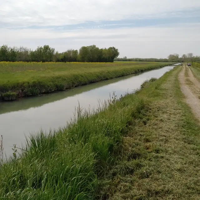 La petite Bernegoue à Damvix