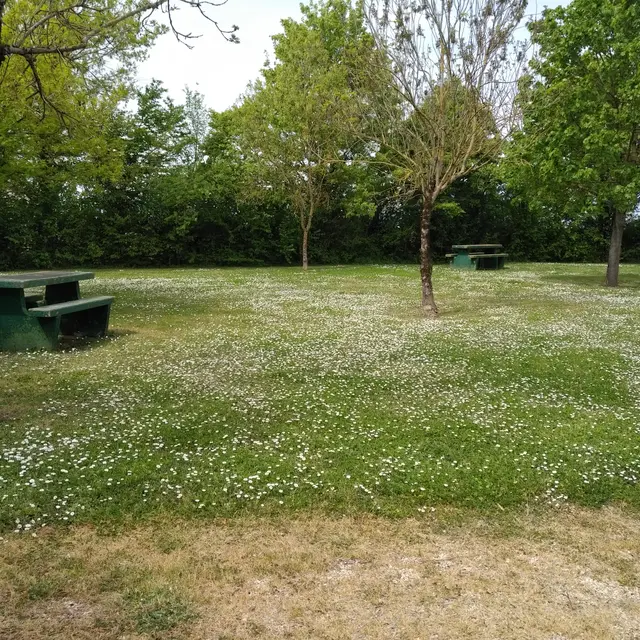 Les Plantes à Liez