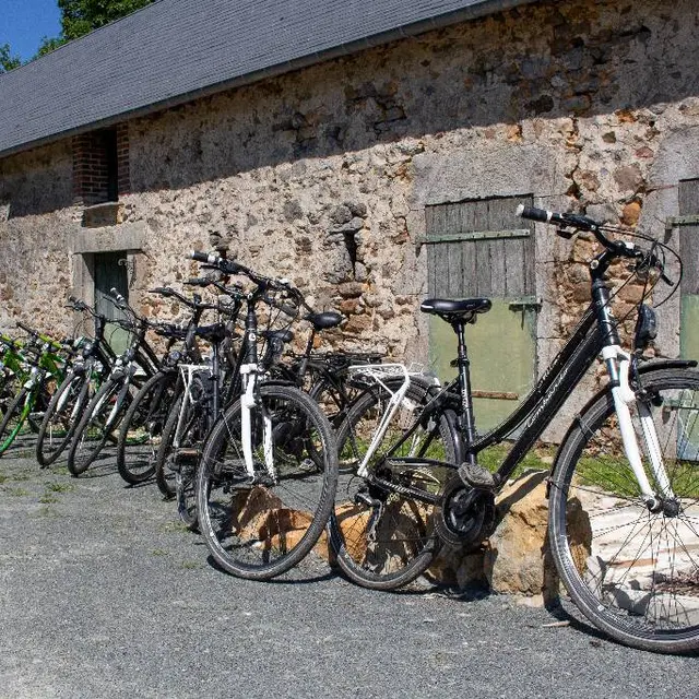 VTT et VTC adultes et enfants, VAE