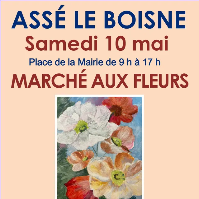 Marché aux fleurs Assé le Boisne 10 05
