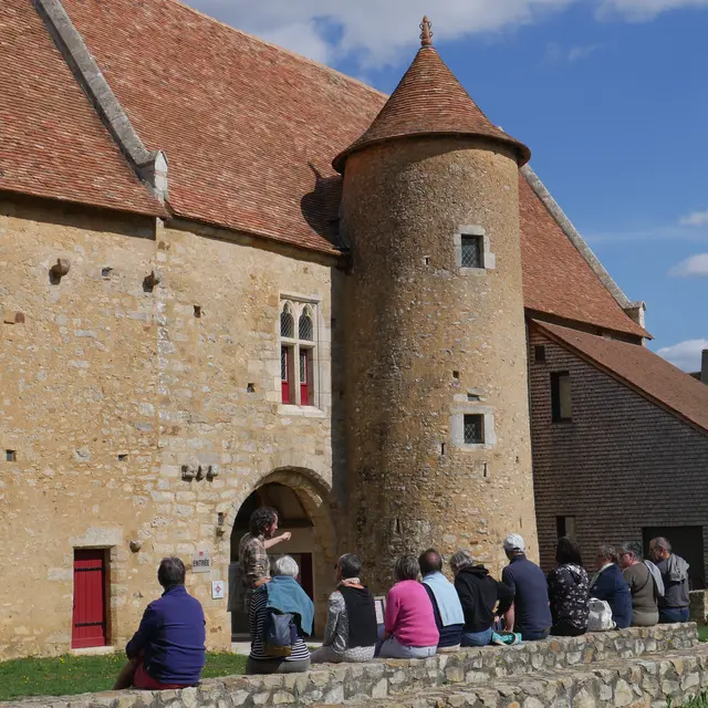 Visites guidees