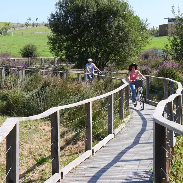 Location de vélo à Laval