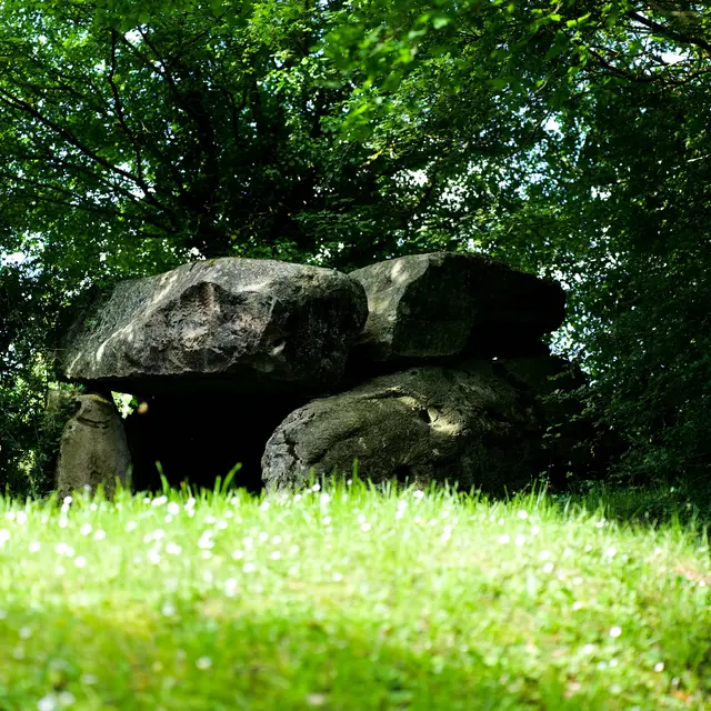 P1037671