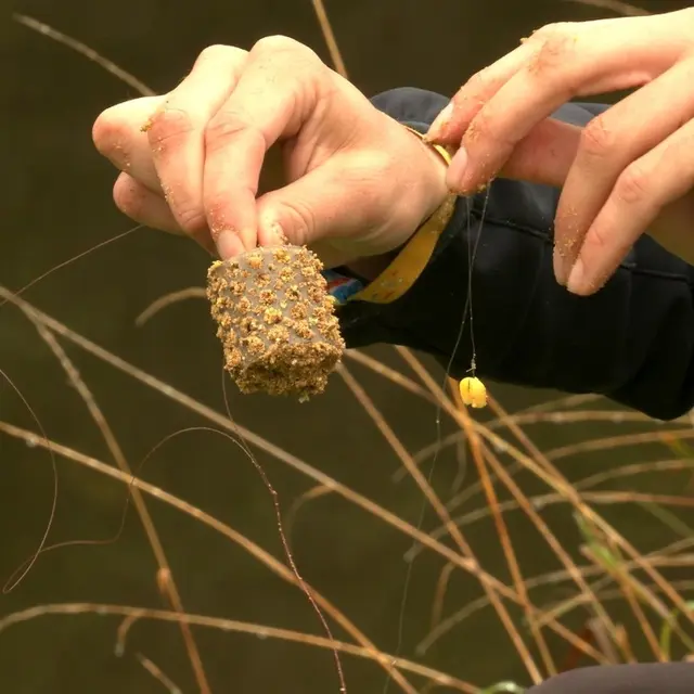 Pêche au feeder