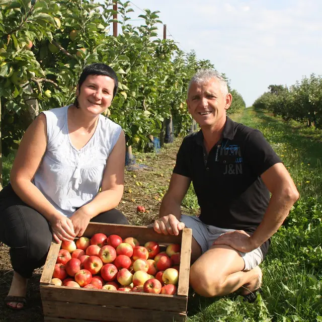 Pommes Pasquier - Bazoges en Pareds - 85