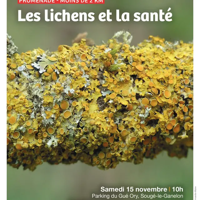 Promenade ABC HSAM Le lichen et la santé Sougé 15 11