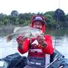 Reservoir-Black-Bass-Origne