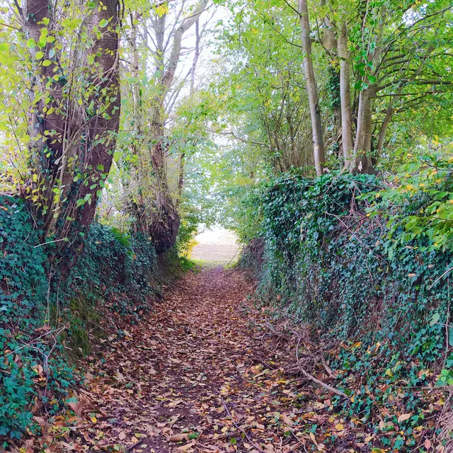 Saint Ellier du maine Moulin des Vaux 9