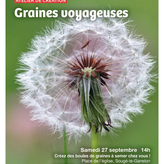 Sortie ABC HSAM Graine Voyageuse 27 09