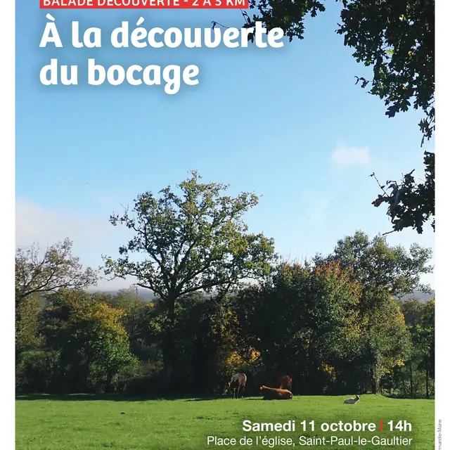 Sortie ABC HSAM bocage 11 10