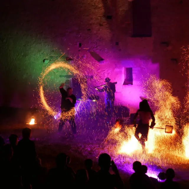 Spectacle de feu Fire Event (3)
