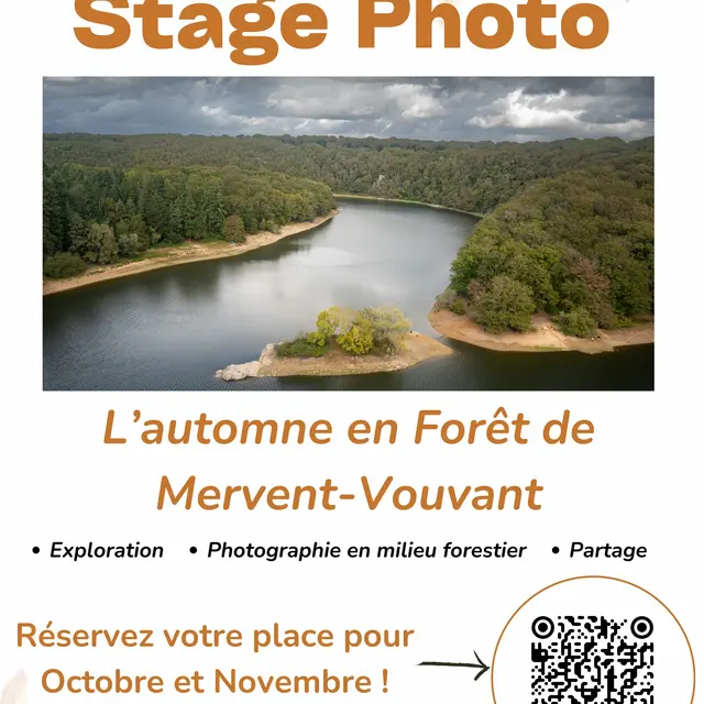 Stages Photo L’automne en Forêt de Mervent-Vouvant