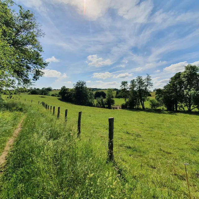 Trail St-Jean-sur-Mayenne