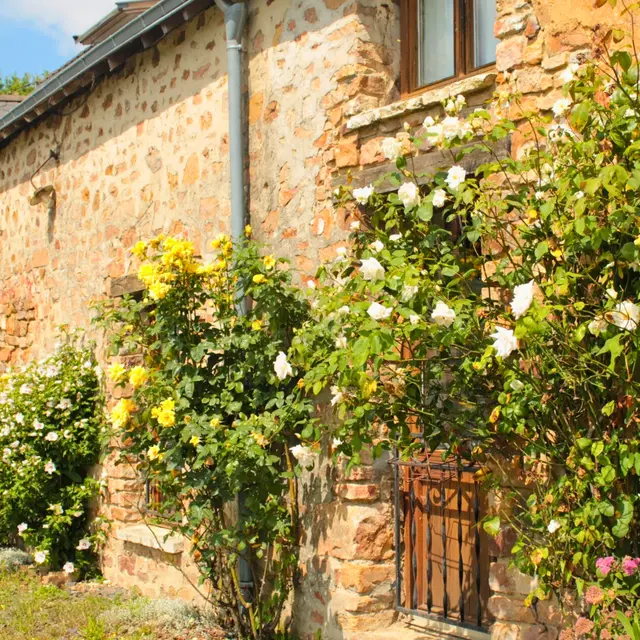 Gîte de Valifer - Extérieur