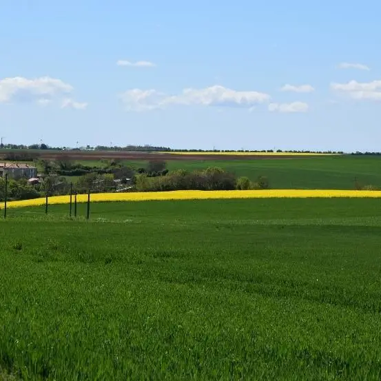 VTT 12 Sérigné