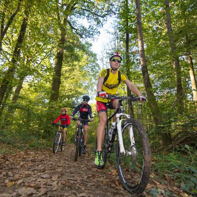 VTT 4 - Saint-Luc