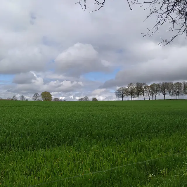 Vallée du Moulin du pré - Landivy 53 © Bocage Mayennais - 44