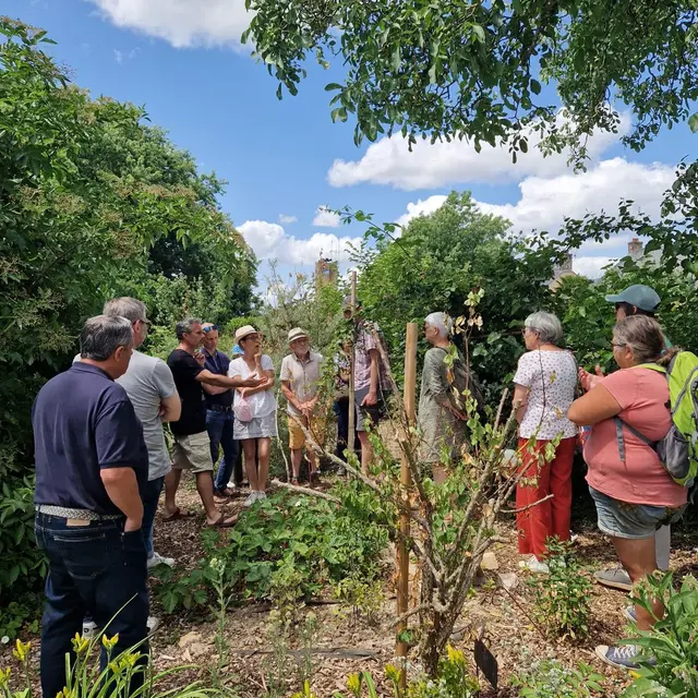 Visite guidée OASIS GOURMANDE