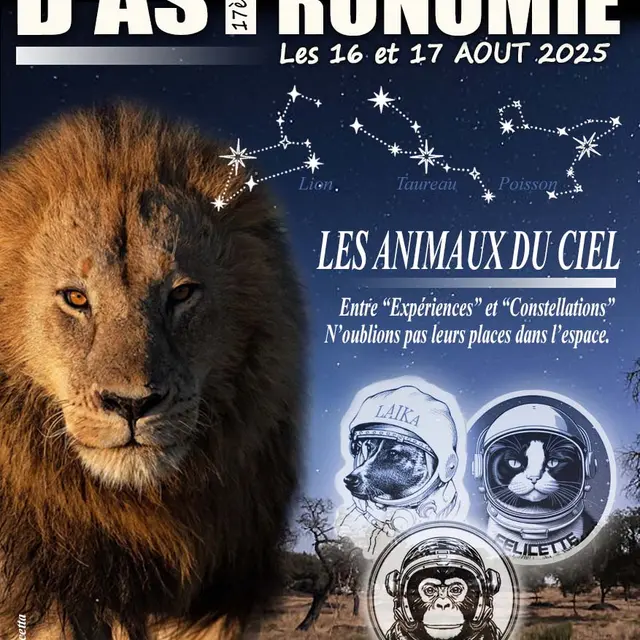 affiche festival astronomie - la Chapelle aux Lys