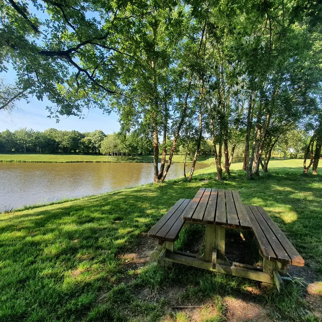 aire-de-pique-nique-du-beugnon-saint-cyr-des-gats-85410-1