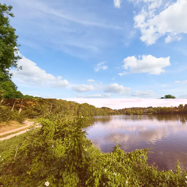 bocage-mayennais-ambrieres-les-vallees-53-cp-prisma--6-