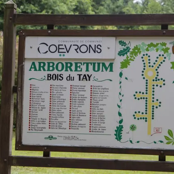 bois-du-tay-arboretum-hambers-01