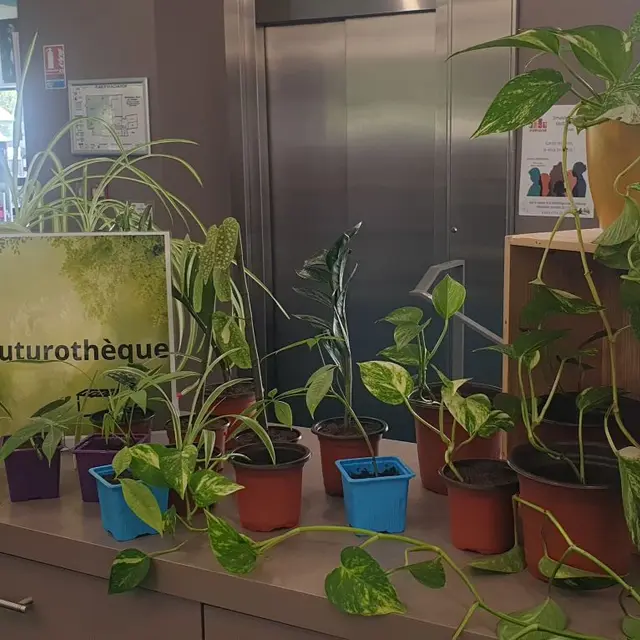 bouturotheque