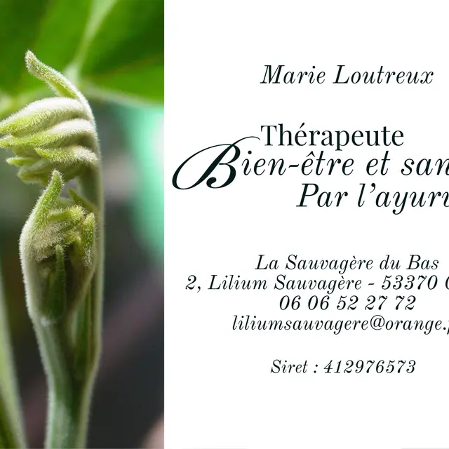 soins ayurvédiques à Lilium Sauvagère
