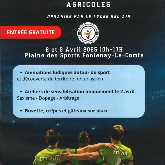 championnat de france de football