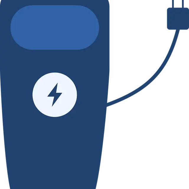 Borne électrique