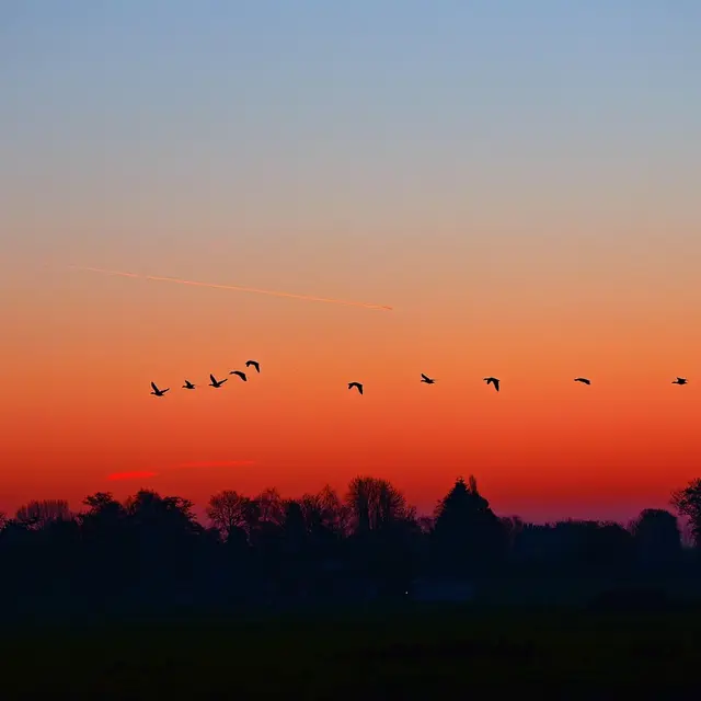 crépuscule le mazeau