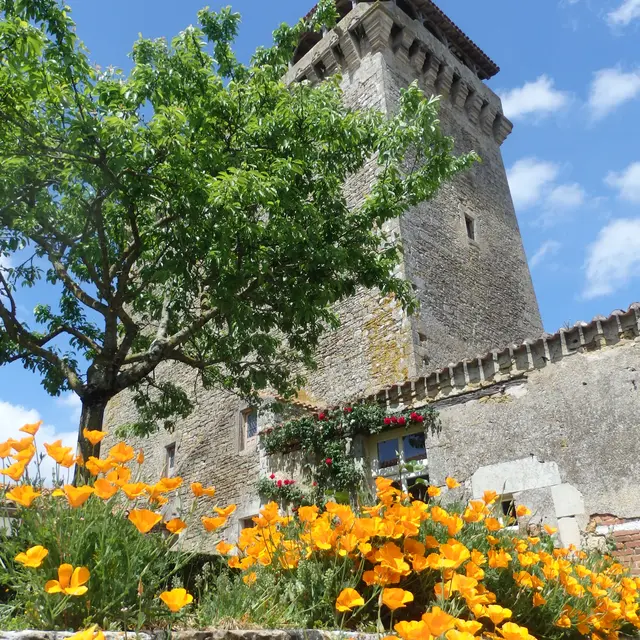 donjon médiéval bazoges-en-pareds