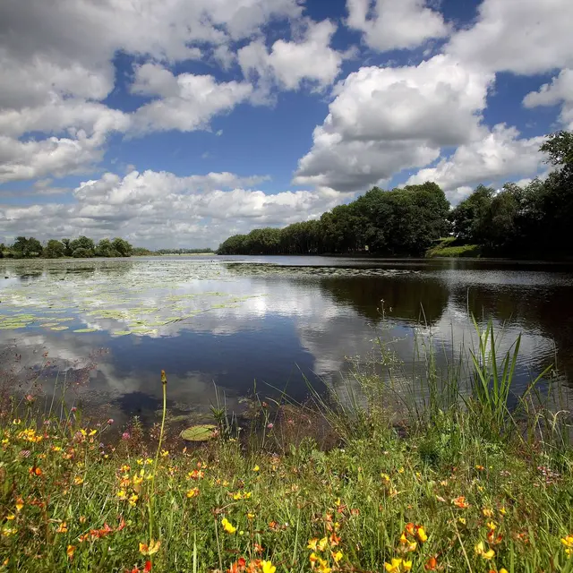 etang-neuf-juvigne-53-3