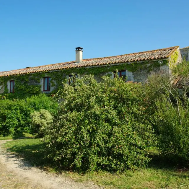 facade maison côté jardin