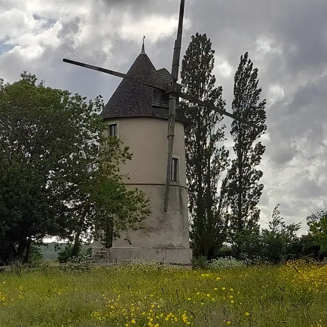 gite-le-moulin-a-vent-le-champ-du-trail-fontenay-vendee-85410-saint-cyr-des-gats- (11)