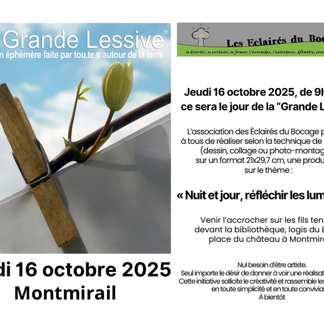 grande lessive