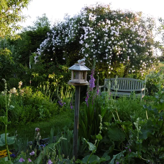 Jardin de Jane
