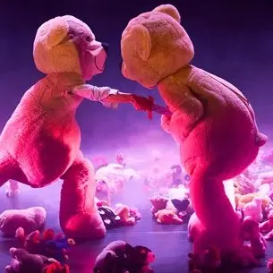 l'arrière pays de craon