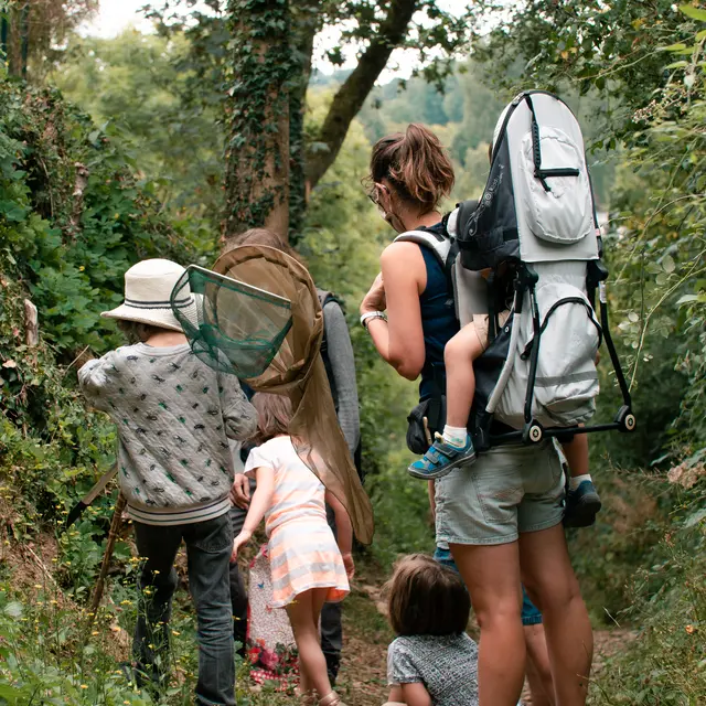 animation grand public