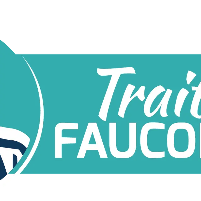 logo - Fauconnier - St Pierre du Chemin - 85