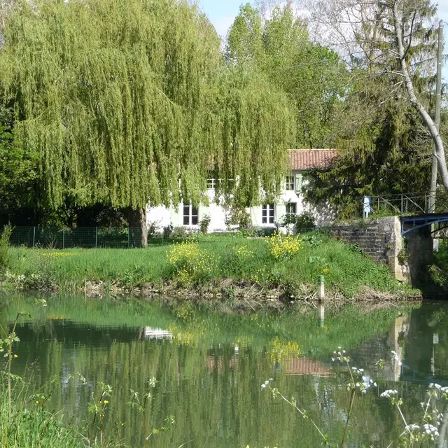 meublé-baillot-benet-85-hlo-10