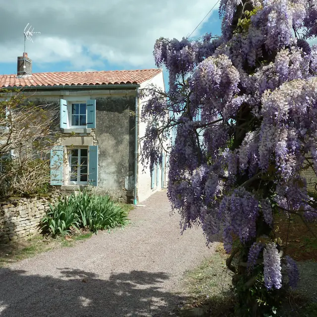 meublé-gite-du-maroye-85200-montreuil-1