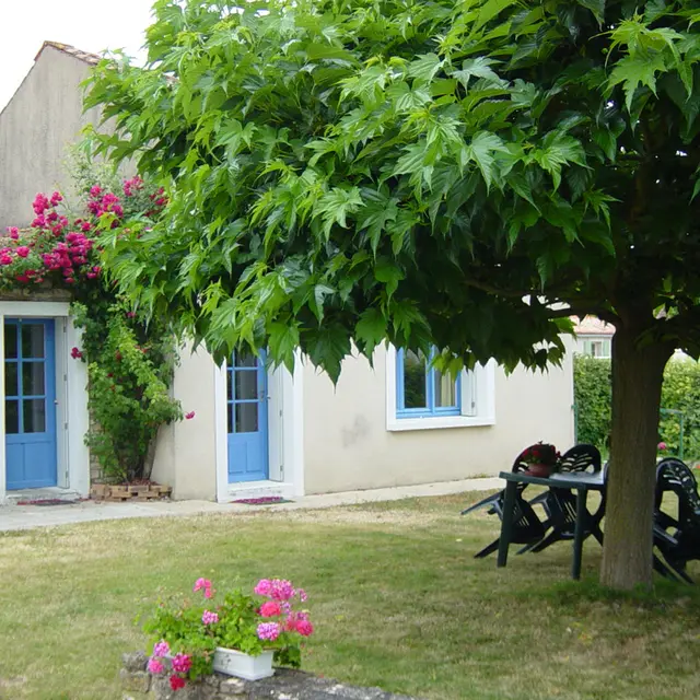 meuble-le-gite-bleu-de-la-rigole-de-bourneau-maille-85-hlo-3