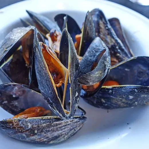 mussels-2796911_640