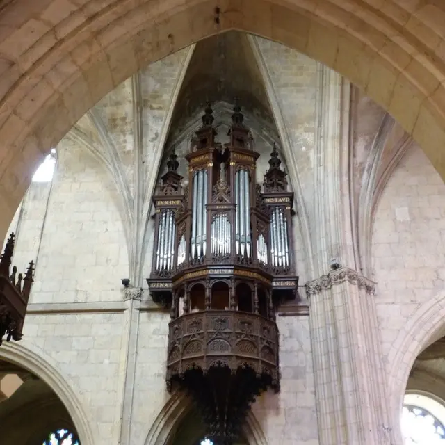 orgue