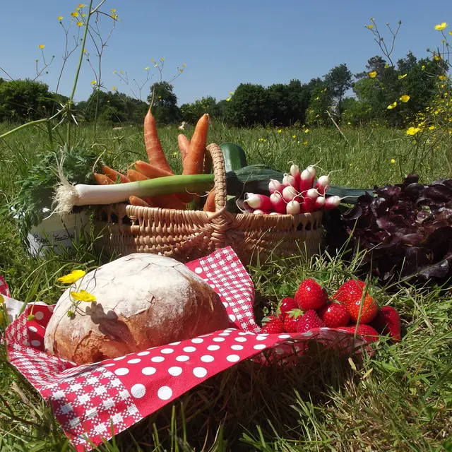 panier terroir (10)