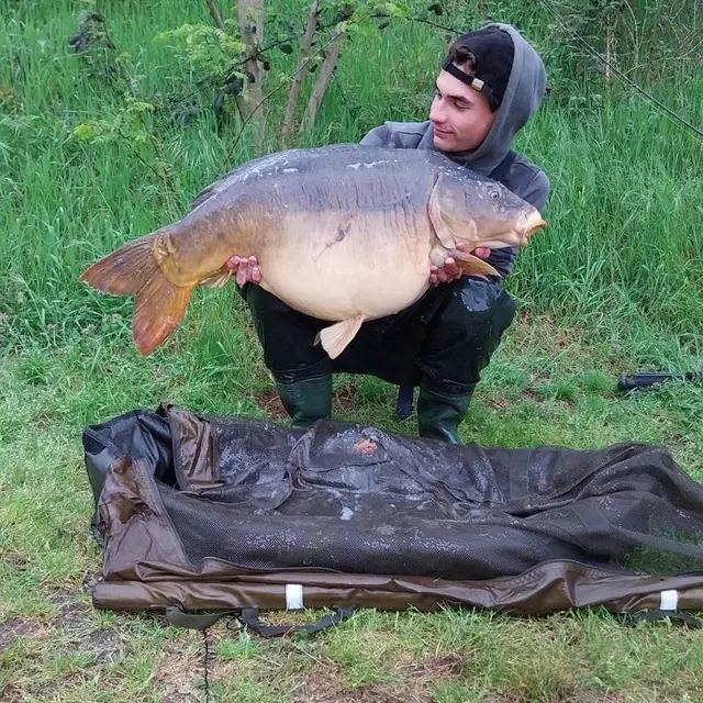 peche dommainnne